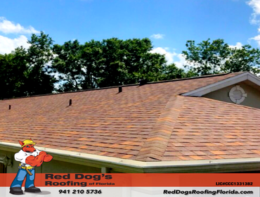 Photos by Red dog's Roofing of Florida #1