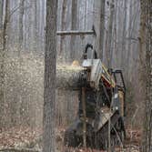 Photos by Placerville Tree Service #1