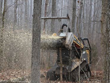 Photos by Placerville Tree Service #1