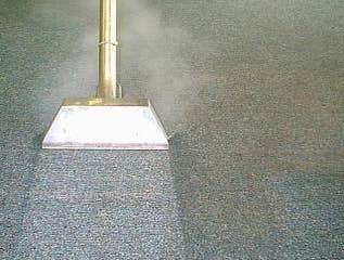 Plover WI Steam Cleaner
