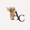 Archeon Construction logo