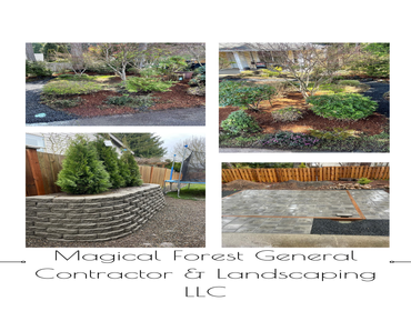 Photos by Magical Forest General Contractor & Landscaping LLC #11