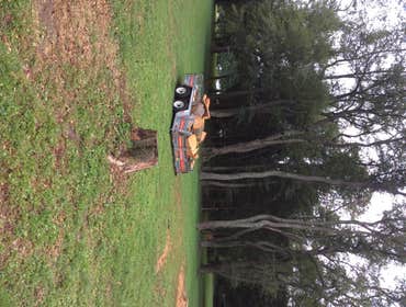 Tree Service South Jersey