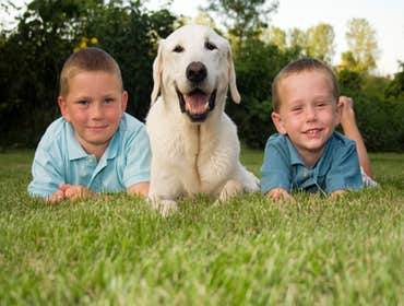 Lee's Summit Heating and Air Conditioning At One Hour Heating & Air Conditioning, it's no secret – your time is our number one priority. But it's not o