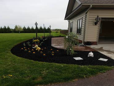 Photos by Amigos Lawn Care & Tree Service #1