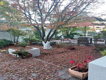 Photos by Matias Landscaping #18