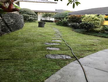 Photos from Hapa Landscaping LLC
