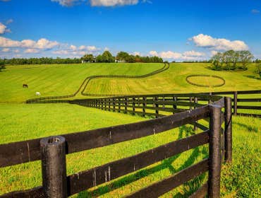 Fences