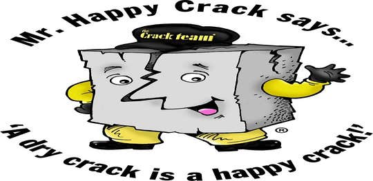The Crack Team