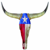 Longhorn Contractors logo