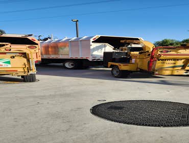 Photos by Pro M Tree Service #49