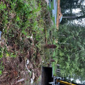 Photos by Chase Construction Inc #3 Pulled stumps, removed brush, and graded area for preparation of topsoil and hydro seed