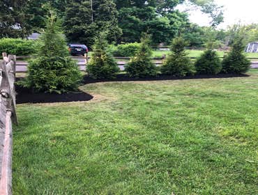 Photos by Ed Francos Simply Green, LLC #1