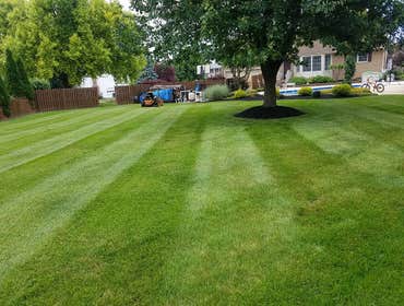 Photos by Amigos Lawn Care & Tree Service #1