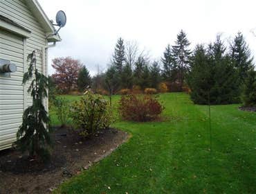 Jobs that we had done! Before and after pictures of the work!