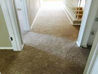 Photos from Carpet Floorida