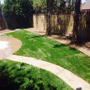 After sod installation