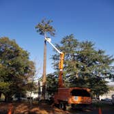 Testerman Tree Services Annandale