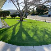 Green Turf Pro