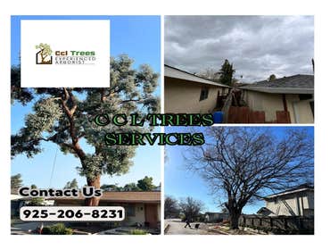 Photos by Ccl Trees Services #1