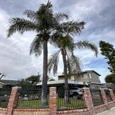 Photos by Majestic Tree Care Inc #3