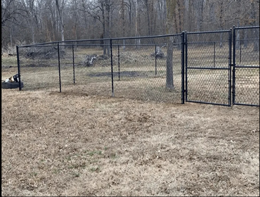 Chain Link