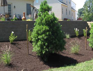 Projects completed by Red Rock Landscape Inc Landscape/Decorative Curbing, Paver Patios, Paver Walkways, Retaining Walls, Landscape Installation