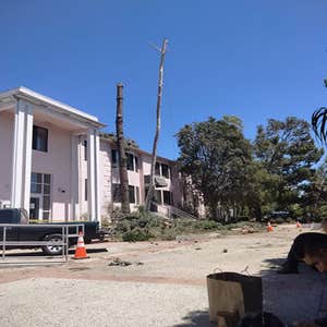 Photos by Villeda Tree Services #1