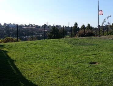 Fences