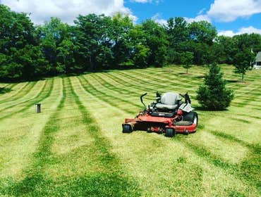 Photos by Greenpal Lawn Care of Long Beach #1