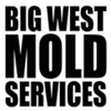 Big West Mold Services logo