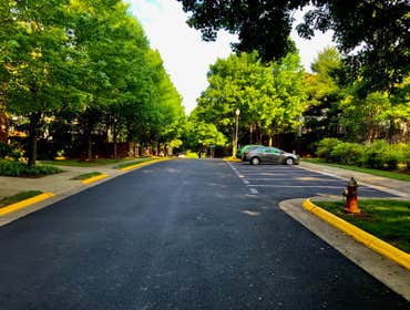 Photos by the Brothers Pavers #1