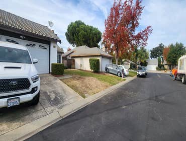 Photos by Pro M Tree Service #58