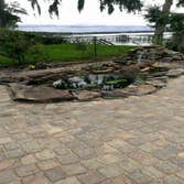 Koi Pond