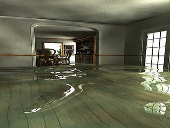 Bay Area Mold Services Project