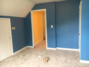 Photos by Quality Painting Ii Inc #2