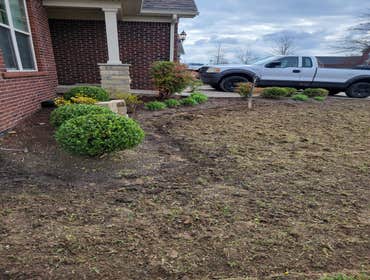 Photos by Alberto Alavez Professional Lawn Services LLC #7