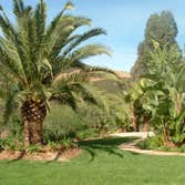 Planting We may provide the services of a Plant Specialist who can spend time walking through the nursery to select planting for your project.