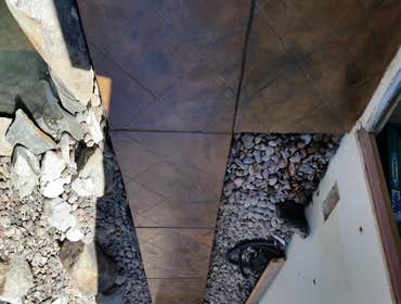 Photos from Sun Up Till Sun Down Landscaping Completed jobs