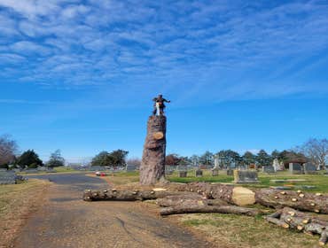 Photos by Hernandez Tree Services #15