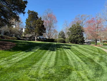 Photos by Hernandez ASSOC. Landscaping