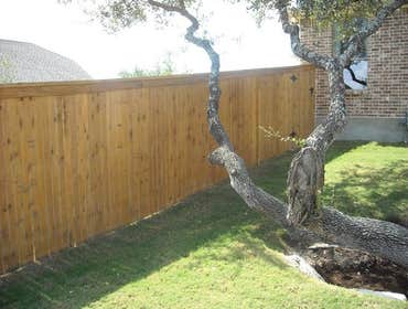 Wood Fence