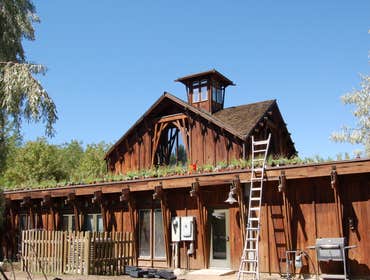 Garden Roofs These pictures are vegetative roof systems we installed on our shop and the Ogden nature center.
