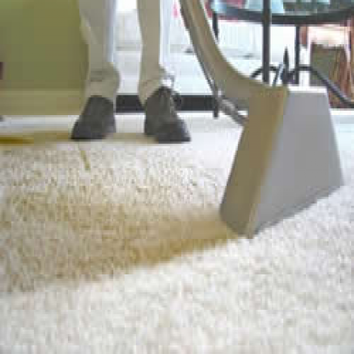 Carpet Cleaning