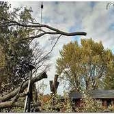 Menifee Tree Service Professionals