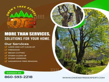 Photos by Owen's Tree Expert LLC #5