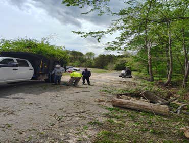 Flores Tree Services General & Landscaping