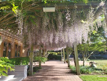 Photos by Tuyub Landscaping #25