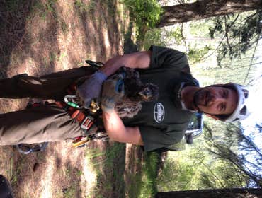 Photo(s) from Scotty's Tree & Landscape Svc
