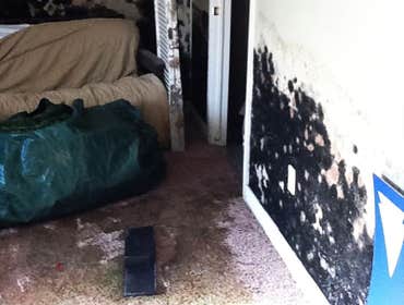 Photos by Disaster Professionals LLC #1